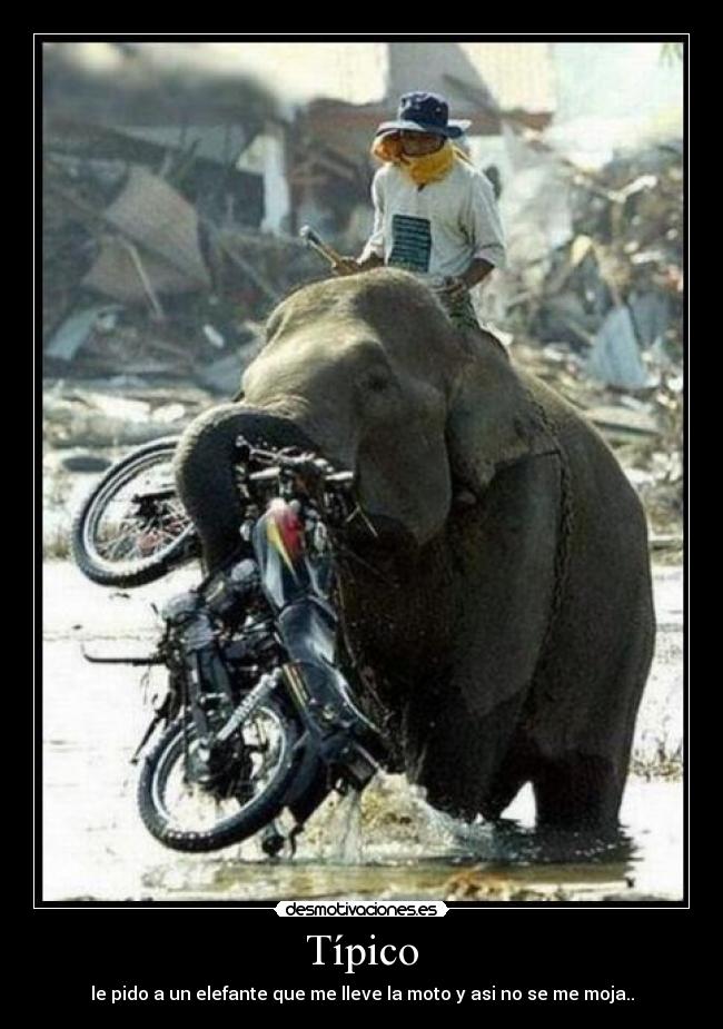 Típico - le pido a un elefante que me lleve la moto y asi no se me moja..