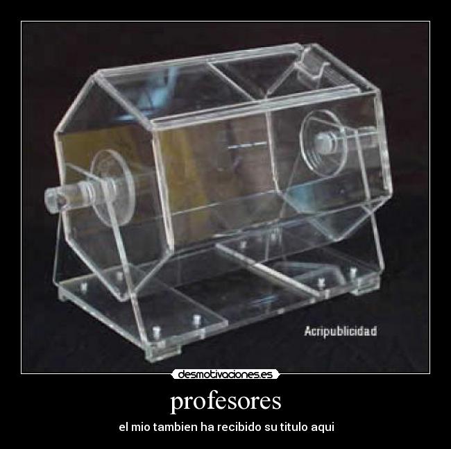 profesores -