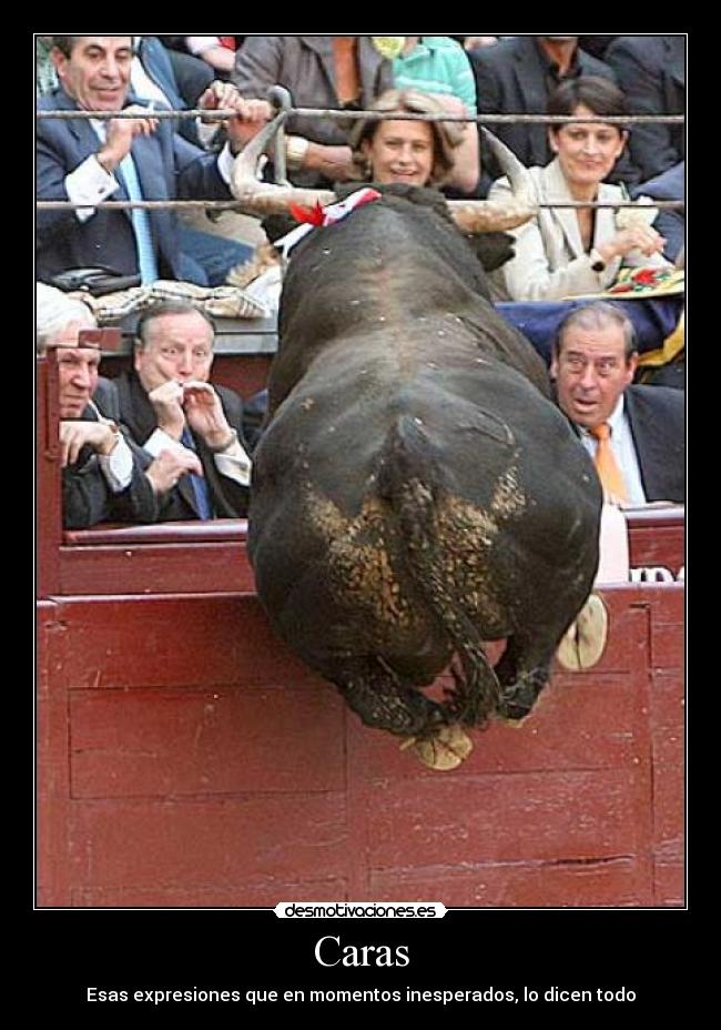 Caras - Esas expresiones que en momentos inesperados, lo dicen todo