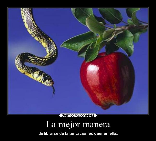 carteles  desmotivaciones