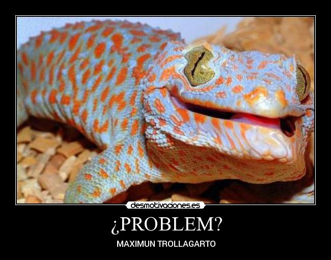 ¿PROBLEM? - MAXIMUN TROLLAGARTO