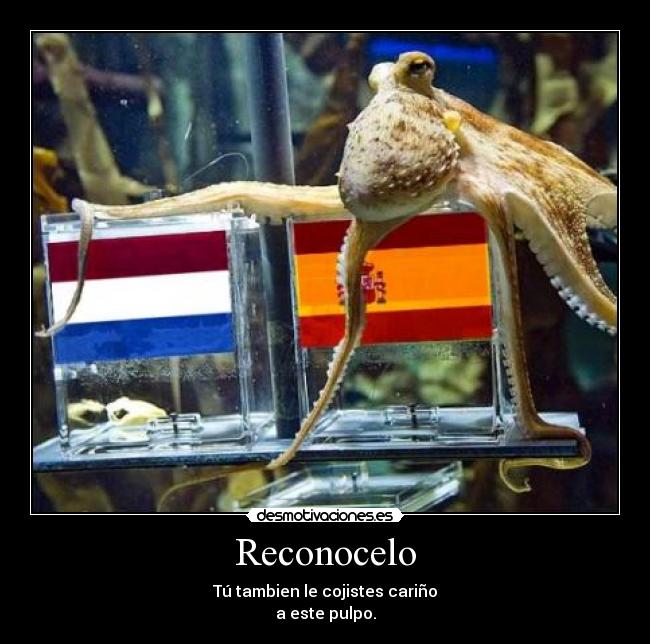 Reconocelo -