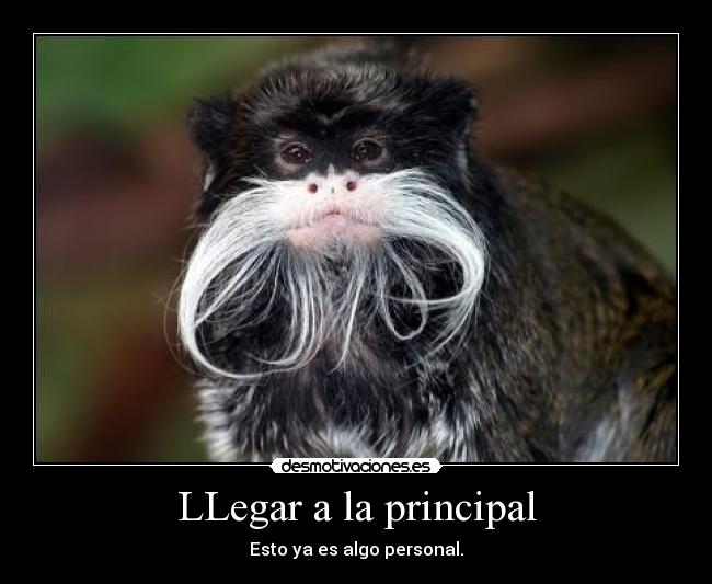 LLegar a la principal - Esto ya es algo personal.
