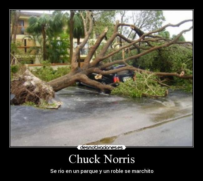 Chuck Norris -