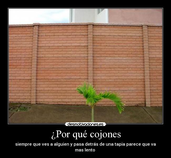 ¿Por qué cojones - 