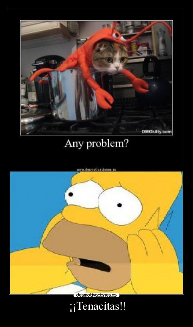 ¡¡Tenacitas!! - 