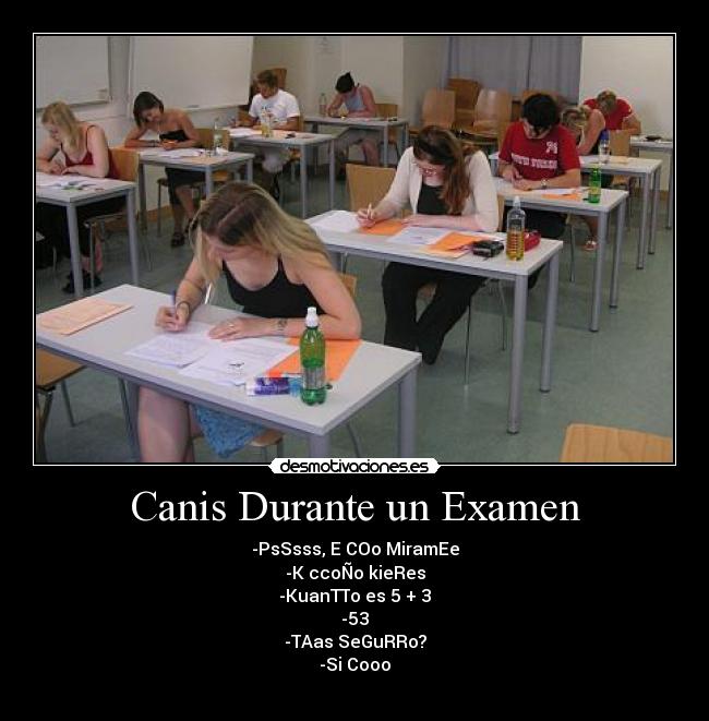 carteles canis examen durante pregunta co canis durante examen desmotivaciones