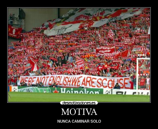 carteles lfc ynwa liverpool aboyinspain desmotivaciones