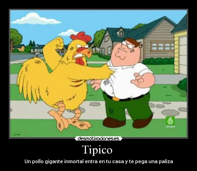 Tipico -