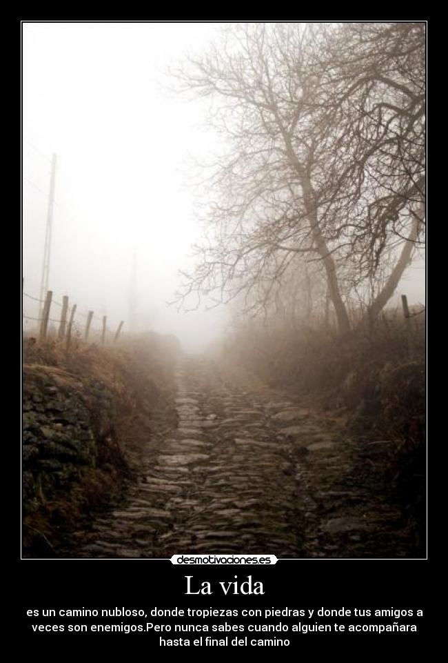 La vida -