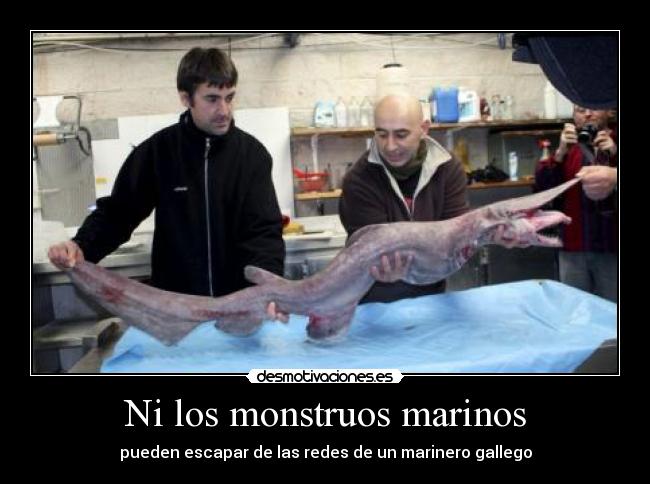 Ni los monstruos marinos - pueden escapar de las redes de un marinero gallego