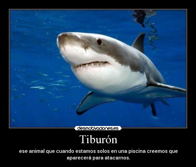 Tiburón -