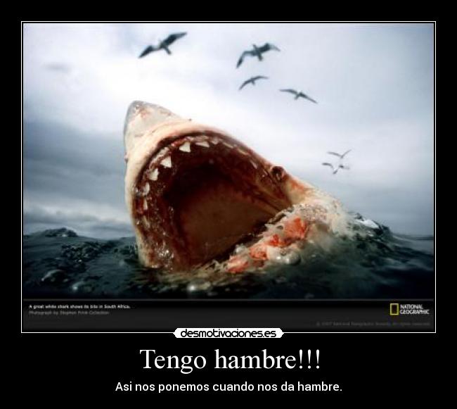 carteles calidad imagenes desmotivaciones