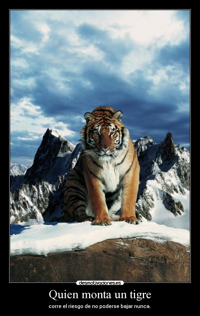  Quien monta un tigre  - 