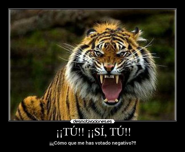 ¡¡TÚ!! ¡¡SÍ, TÚ!! -