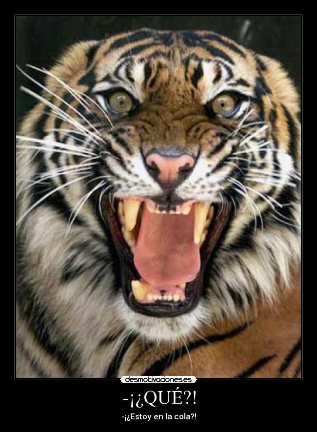 -¡¿QUÉ?! - -¡¿Estoy en la cola?!