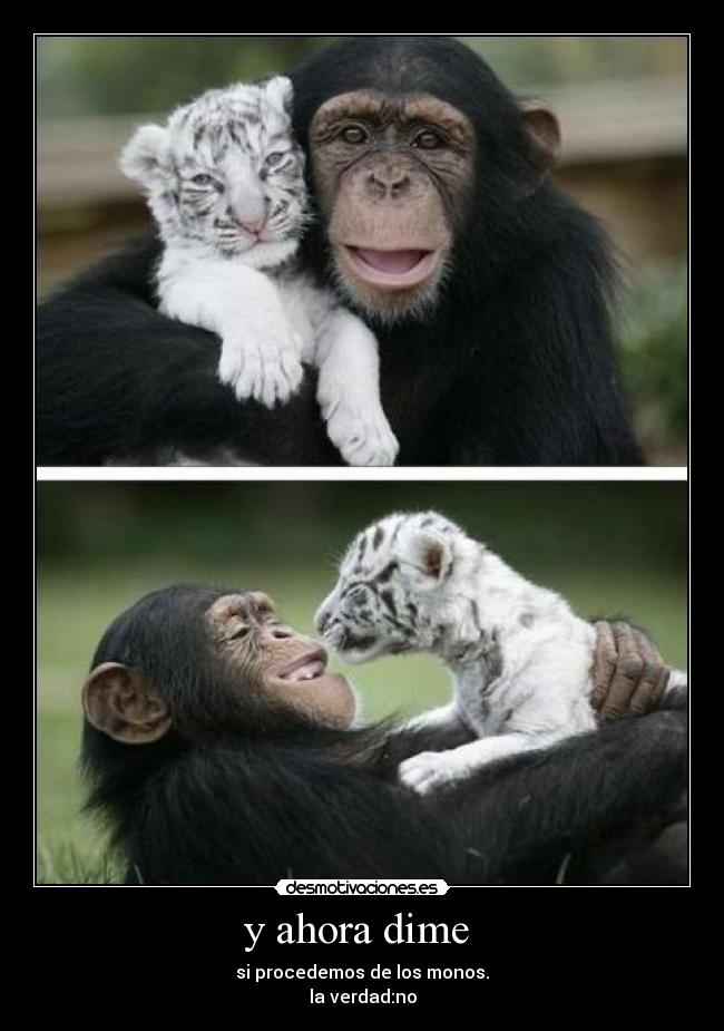 y ahora dime  - si procedemos de los monos.
la verdad:no