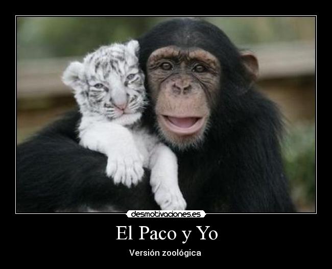 El Paco y Yo - Versión zoológica