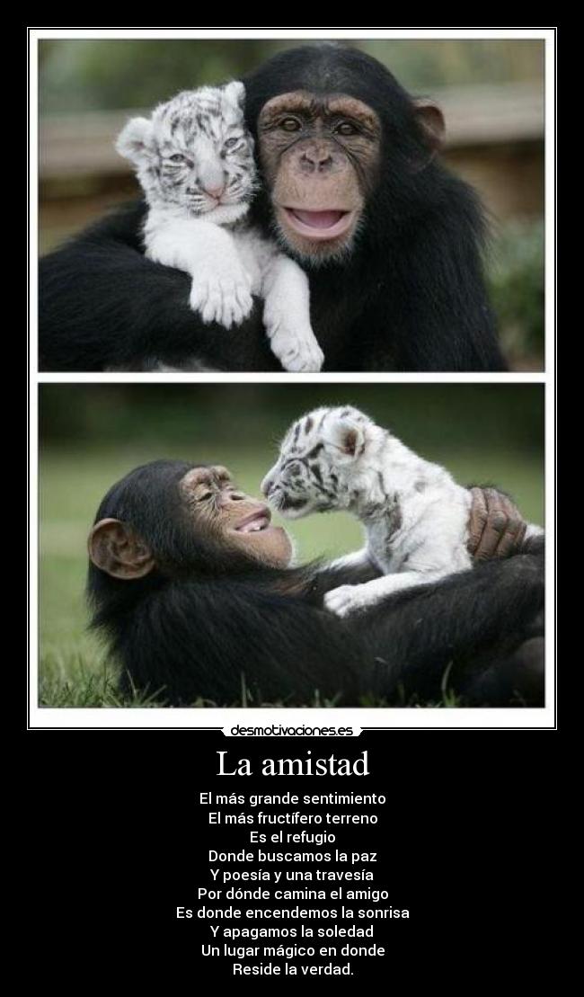 La amistad - 