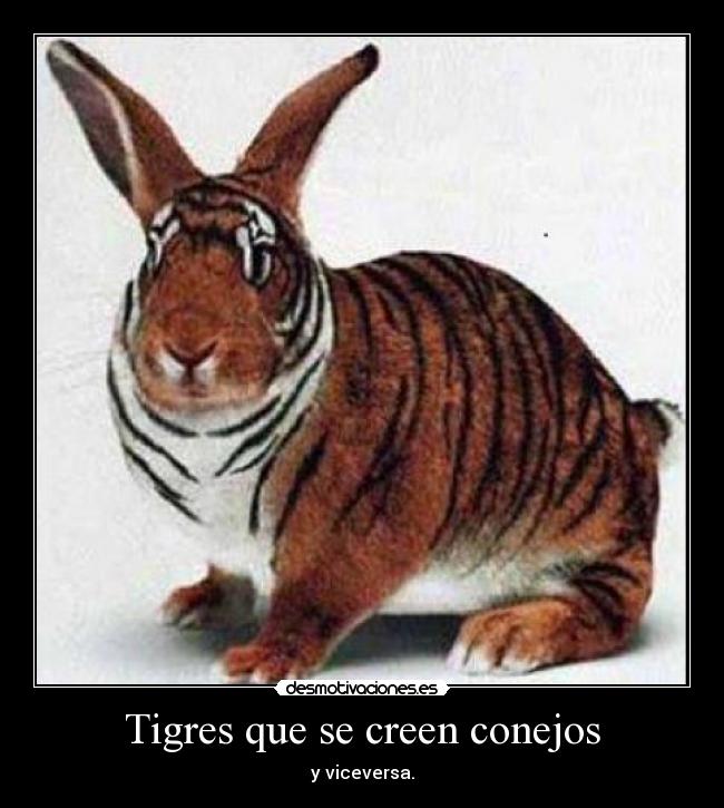 Tigres que se creen conejos - y viceversa.