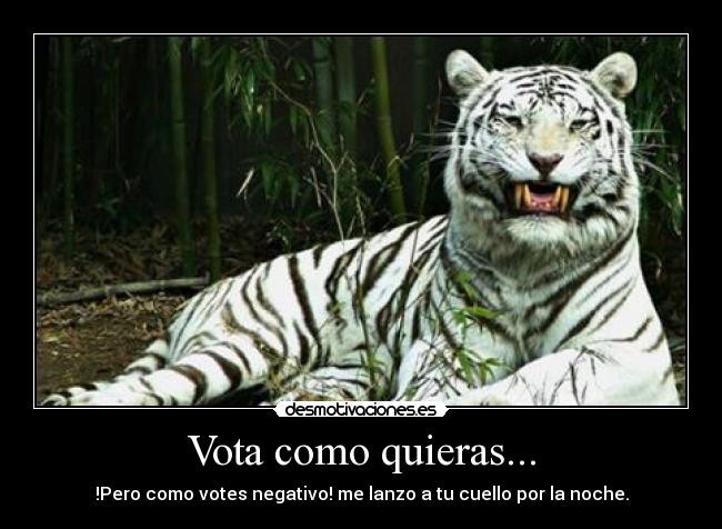 Vota como quieras... -