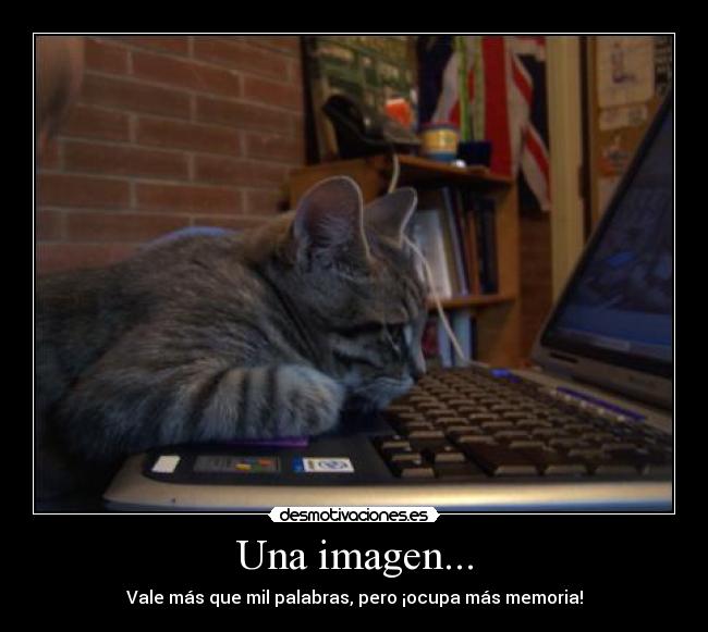 Una imagen... - Vale más que mil palabras, pero ¡ocupa más memoria!