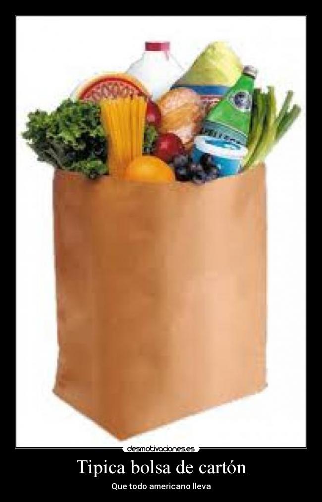 Tipica bolsa de cartón - Que todo americano lleva