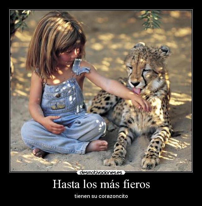 Hasta los más fieros - tienen su corazoncito