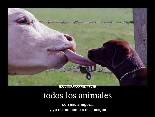 todos los animales -