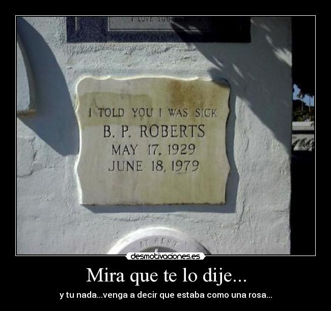 Mira que te lo dije... - y tu nada...venga a decir que estaba como una rosa...