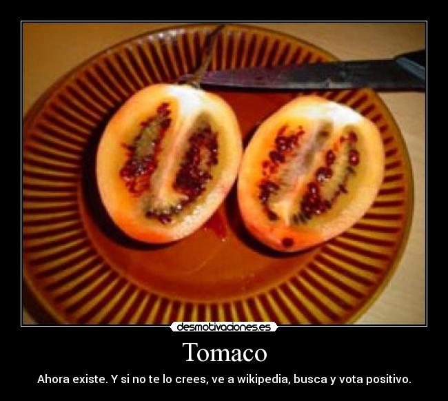 Tomaco - 