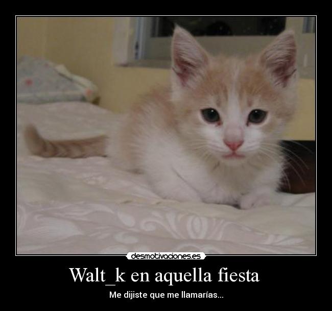 Walt_k en aquella fiesta -