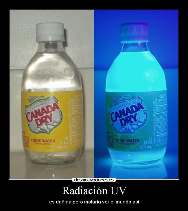 Radiación UV - es dañina pero molaría ver el mundo así