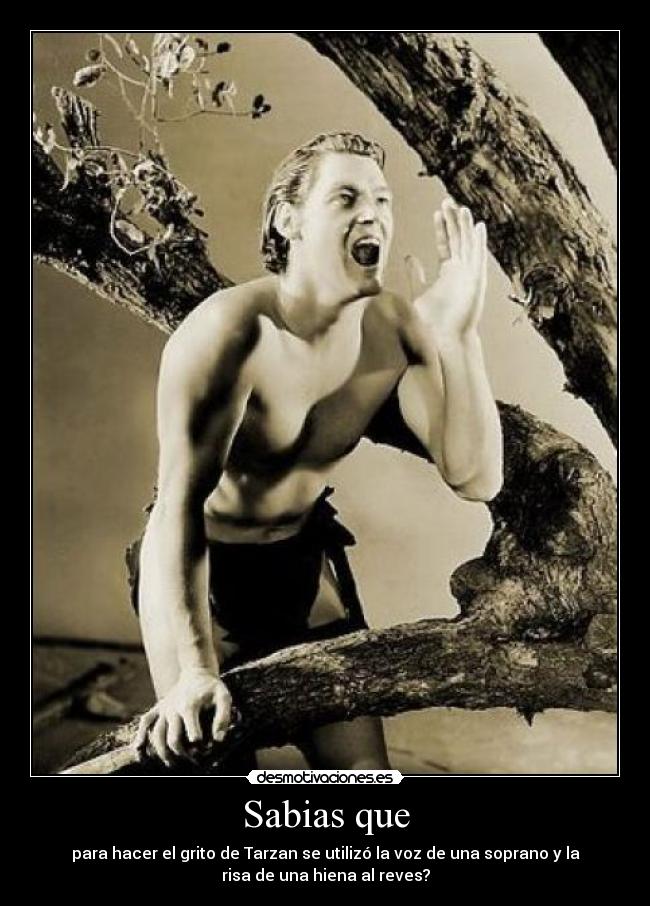 Sabias que - para hacer el grito de Tarzan se utilizó la voz de una soprano y la
risa de una hiena al reves?