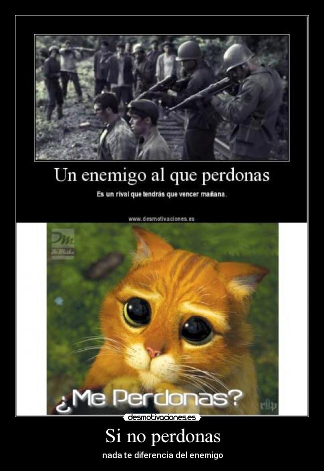 carteles perdon desmotivaciones