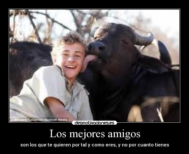 Los mejores amigos - 