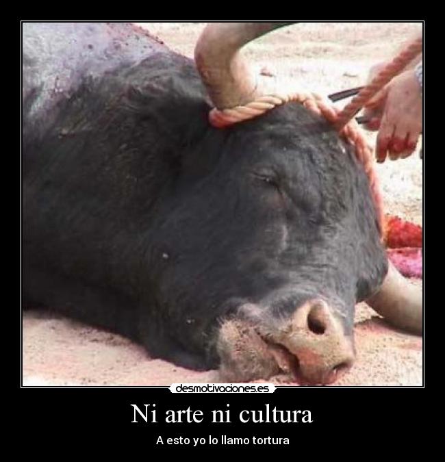 Ni arte ni cultura - A esto yo lo llamo tortura
