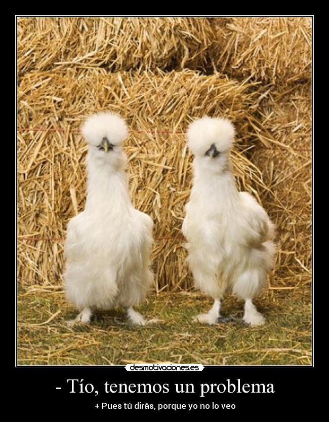 carteles tio tenemos problema desmotivaciones