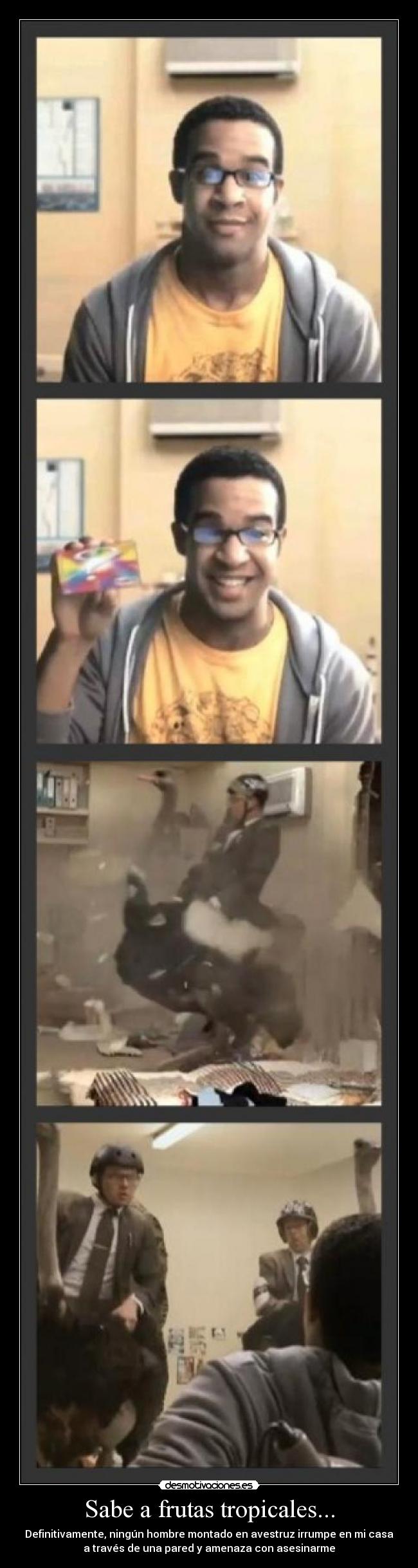 Sabe a frutas tropicales... - Definitivamente, ningún hombre montado en avestruz irrumpe en mi casa
a través de una pared y amenaza con asesinarme