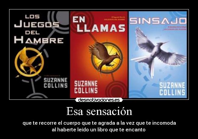 Esa sensación - que te recorre el cuerpo que te agrada a la vez que te incomoda
al haberte leído un libro que te encanto