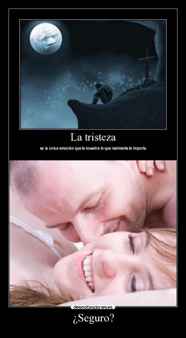 carteles seguro amor desmotivaciones