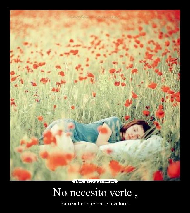 No necesito verte , - para saber que no te olvidaré .