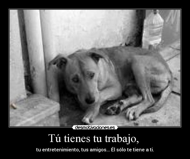 Tú tienes tu trabajo, -
