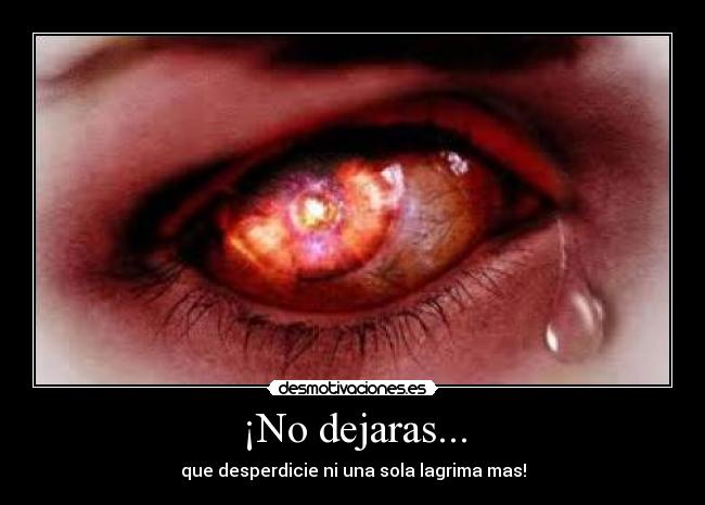 ¡No dejaras... - 