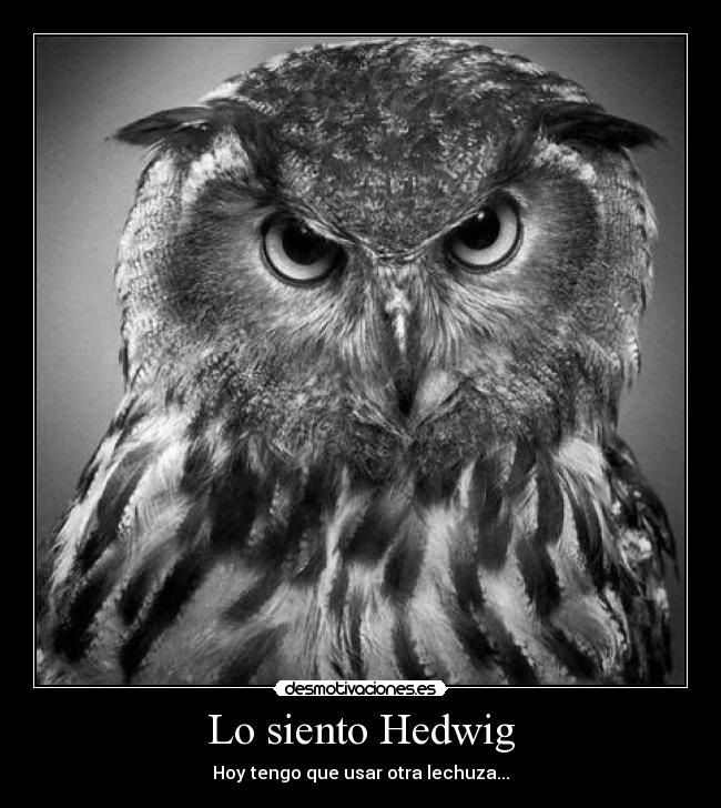 Lo siento Hedwig - Hoy tengo que usar otra lechuza...
