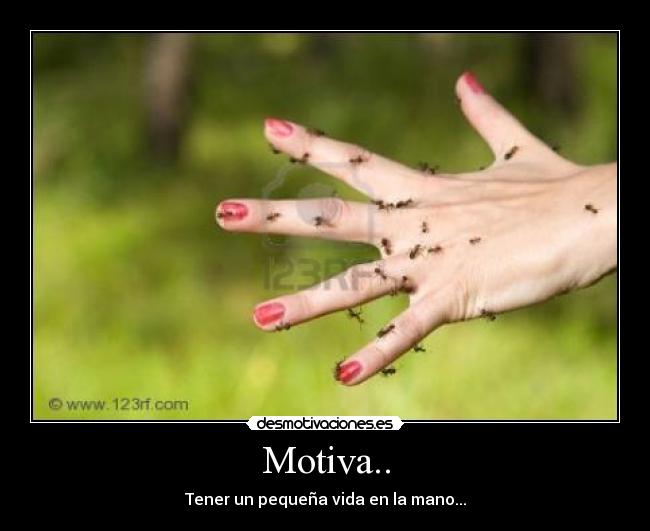 Motiva.. -