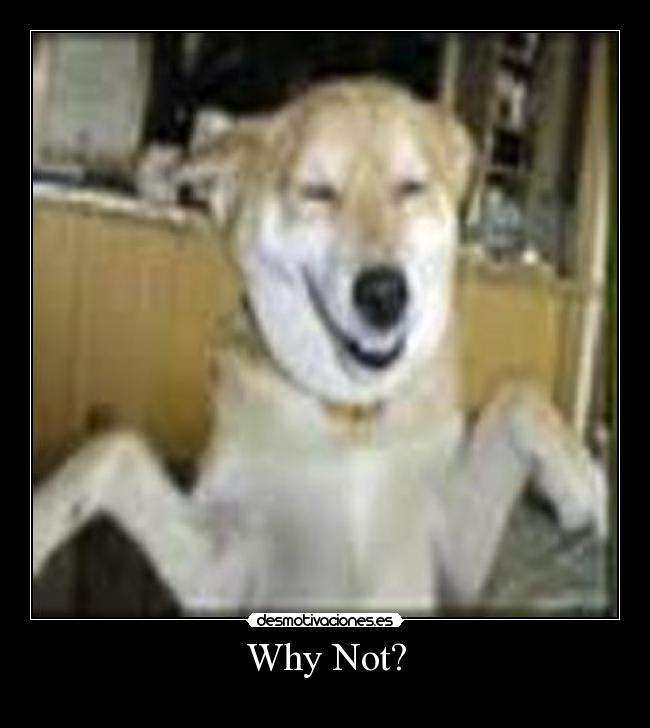 Why Not? - 