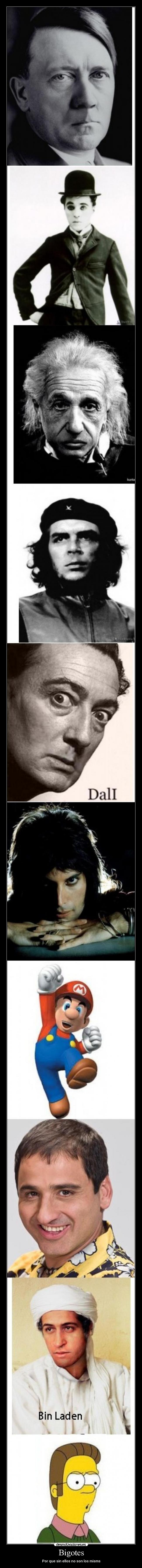 Bigotes - Por que sin ellos no son los misms