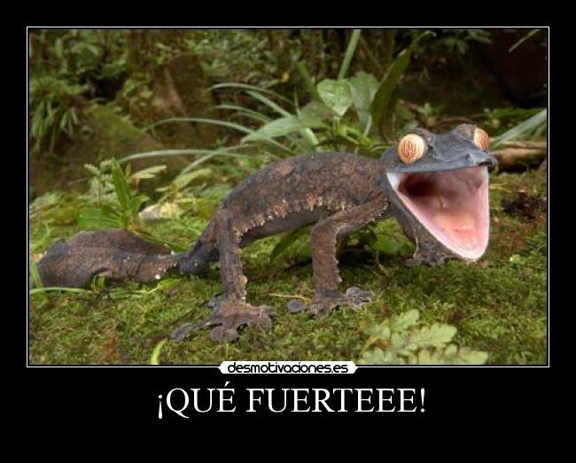 ¡QUÉ FUERTEEE! -