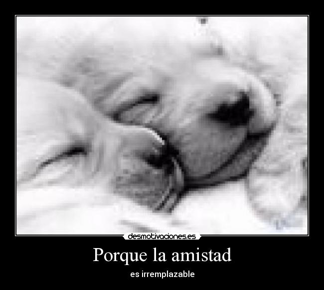 Porque la amistad -